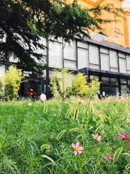 -Hair Co.一间沙龙