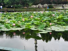 -云居湖