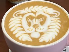 -SAFARI COFFEE