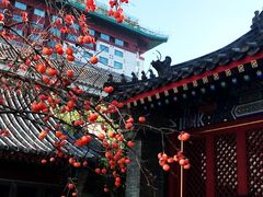 景观位-止观小馆·辽河口渔家菜(王府井店)