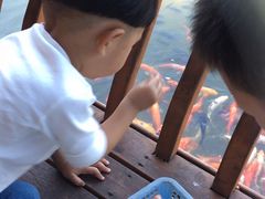 -泉州海丝野生动物世界