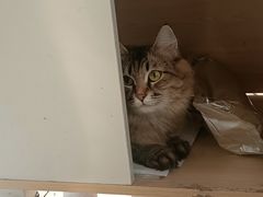 -萌兽医馆·眼科·异宠专科(三里屯店)