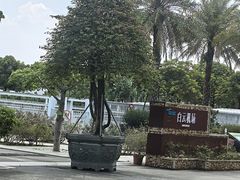 -广州白云国际机场-T2航站楼