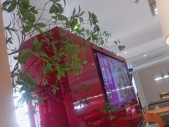 -老板恋上鱼(恒隆广场店)