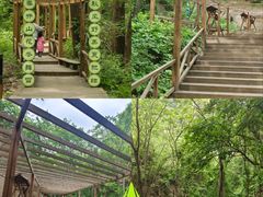 -大岭沟猕猴桃谷风景区