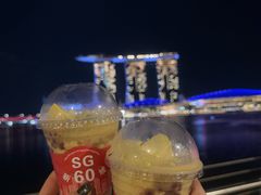 -鱼尾狮公园