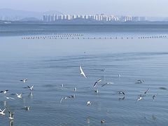-深圳湾公园(南山区)