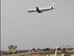 -空港花田景区