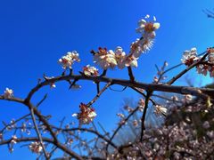 -白塘生态植物园