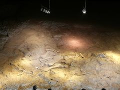 -世界恐龙谷景区