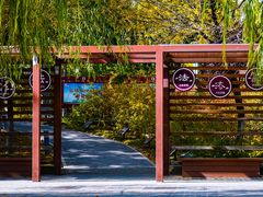 -大兴滨河森林公园