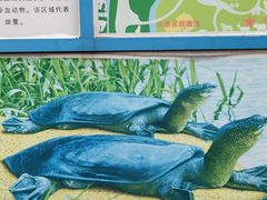 -上方山森林动物世界