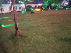 -天宫南铂玫瑰园酒店