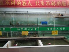 水产区-喜洋洋蟹庄(阳澄湖店)