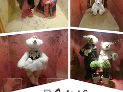 -济州岛泰迪熊博物馆