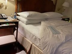 -广州富力丽思卡尔顿酒店