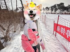 -棋盘山冰雪大世界