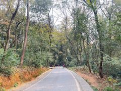 -岳麓山风景名胜区