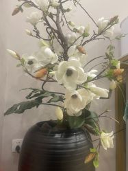 -酉嘉瑜伽YO+YOGA