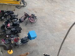 -长兴菜馆(高桥店)