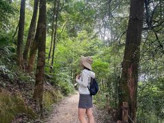-广州市帽峰山景区