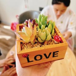 -养月堂中医养生月子会所(中心妇产店)