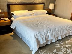 -绿城千岛湖喜来登度假酒店