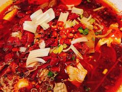 麻婆绝味毛血旺-陈麻婆豆腐(春熙店)