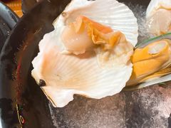 扇贝-丽江庭院之爱在路上(西单店)