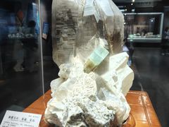 -湖南省地质博物馆