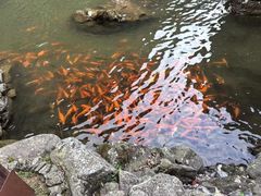 -刘伯温故里景区百丈漈