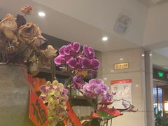 -沐春秋茶书院·茶室.茶馆.商务包房(知春路店)