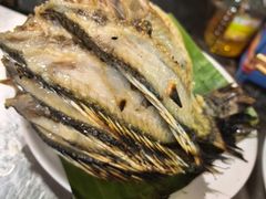 -杨合林啊兰烤鱼