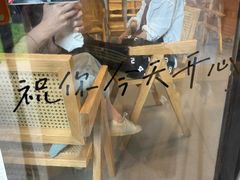 -猫里有甜