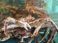 -蟹之国·精品蟹料理(极地店)