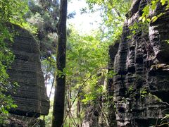 -梭布垭石林景区