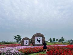 -嘉北郊野公园