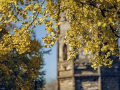 -上海佘山国家森林公园天马山园