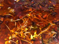 毛血旺-大蓉和(双楠店)