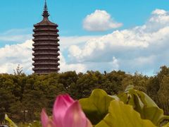 -西海子公园