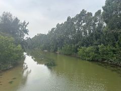 -五缘湾湿地公园