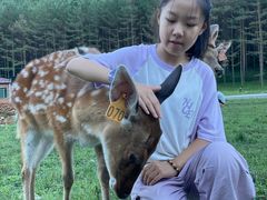 -吊水壶国家森林公园