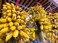 -南沙十九涌渔人码头-南门