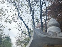 -木塔寺遗址生态公园