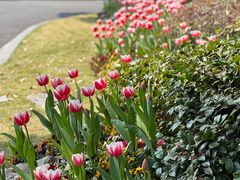 -浙江西子宾馆·瑶园咖啡厅