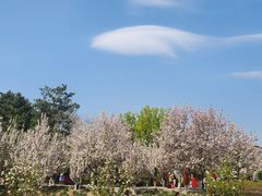 -元大都城垣遗址公园