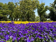 -狼山风景名胜区