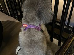 -院8里·小聚园(九眼桥店)