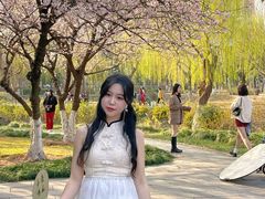 -堤角公园