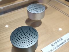 -小米之家(东方宝泰购物中心店)